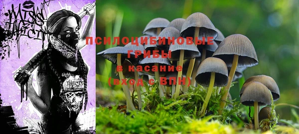 прущие крисы Армянск